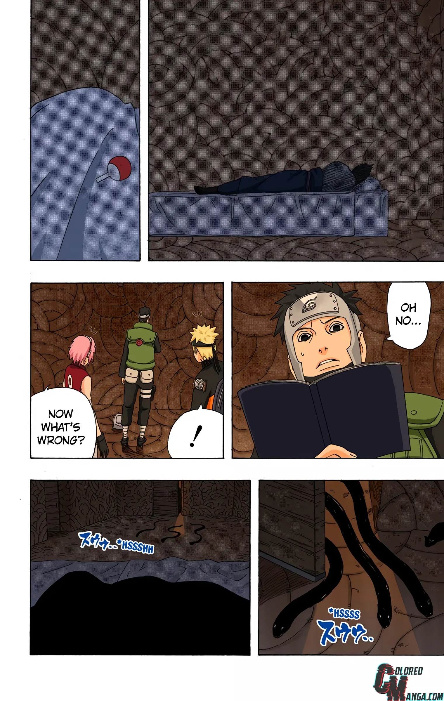 Naruto Colored Manga Online, chapter 305, page 10