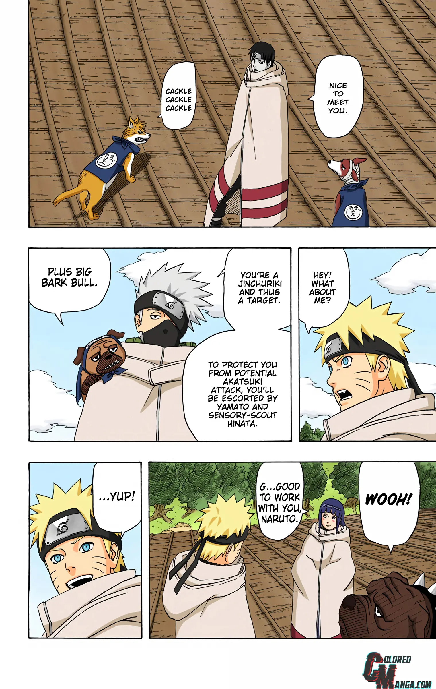 Naruto Colored Manga Online, chapter 355, page 4