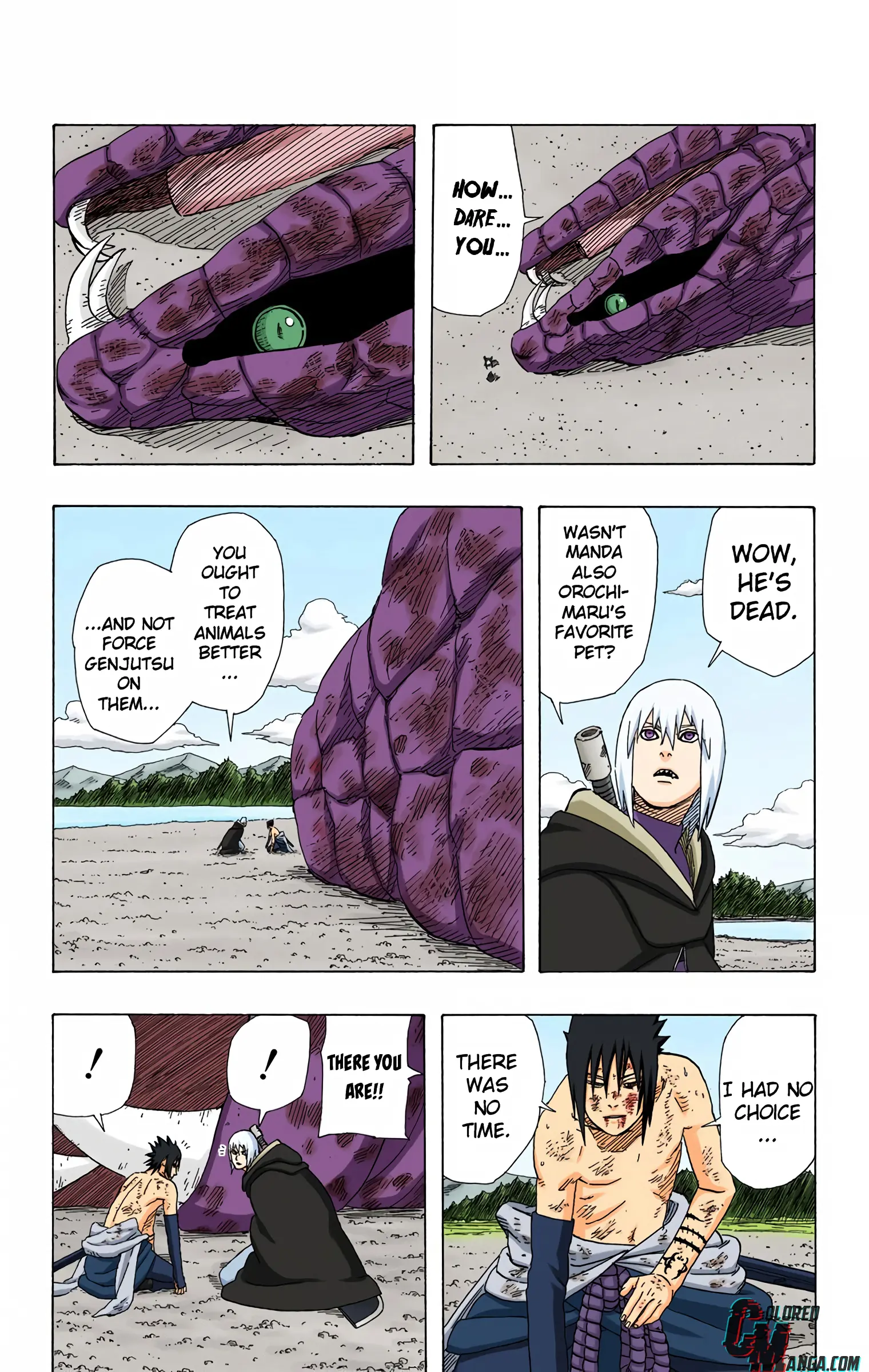 Naruto Colored Manga Online, chapter 363, page 13