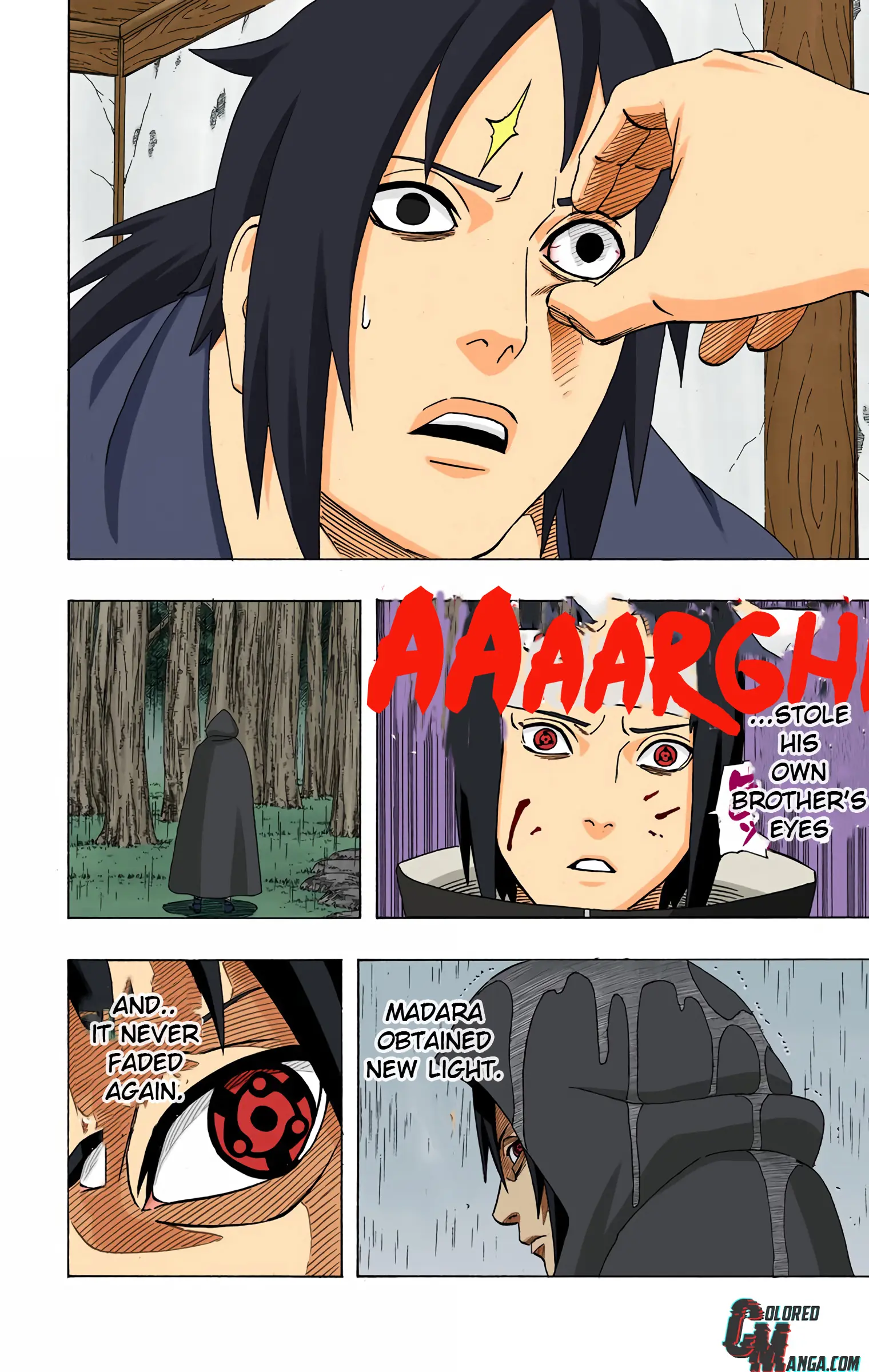 Naruto Colored Manga Online, chapter 386, page 8