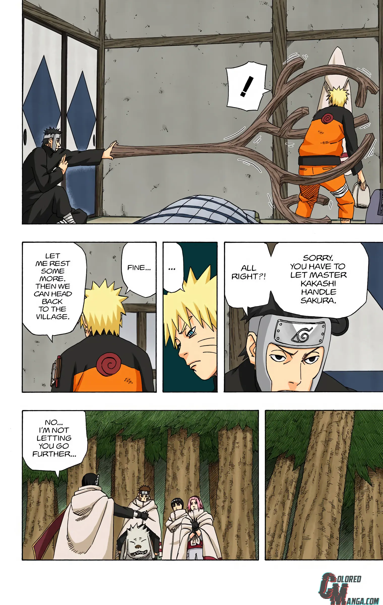 Naruto Colored Manga Online, chapter 482, page 4