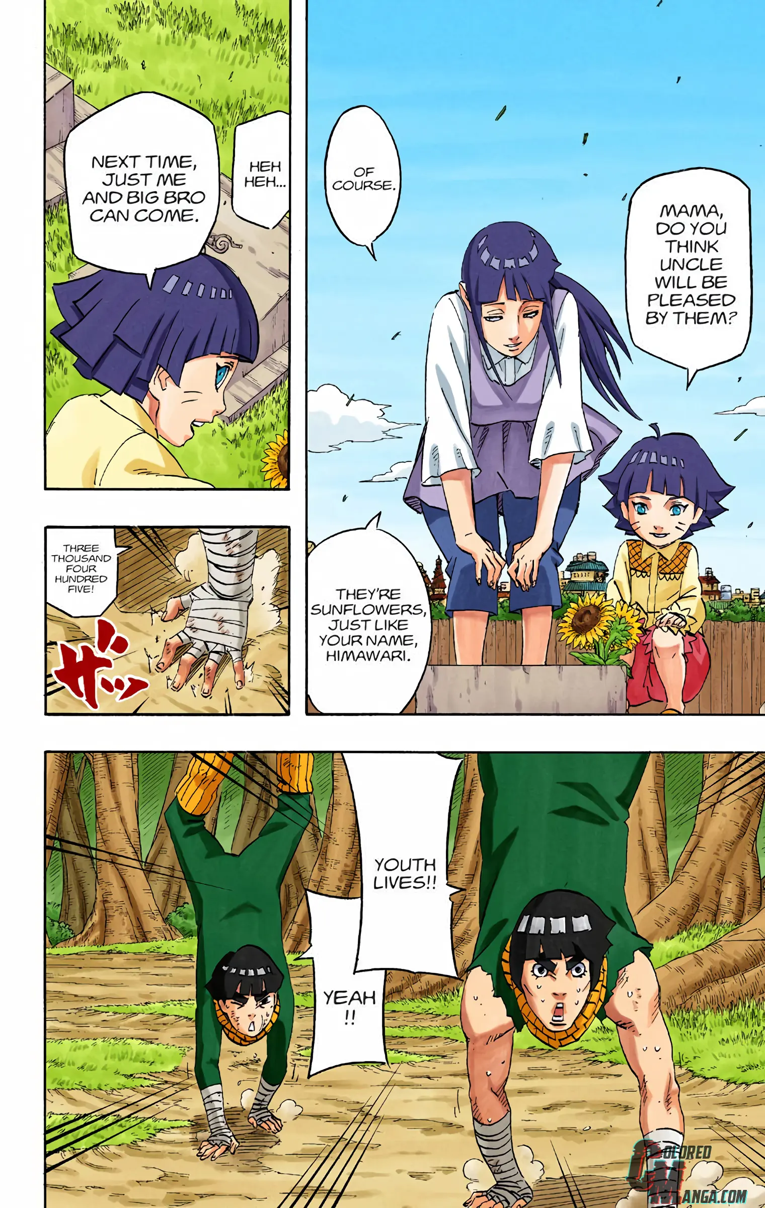 Naruto Colored Manga Online, chapter 700 END, page 4