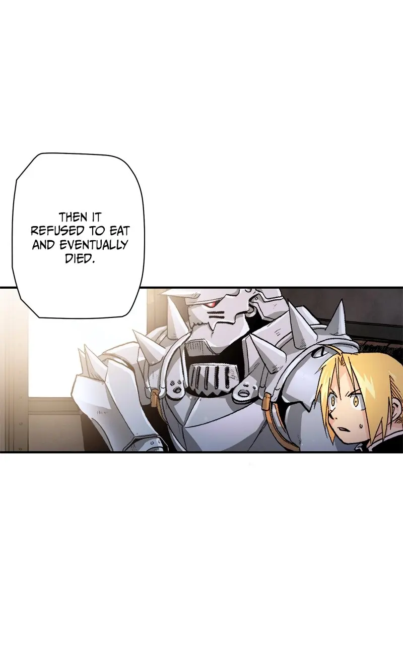 Fullmetal Alchemist (Webtoon Official), chapter 12, page 22