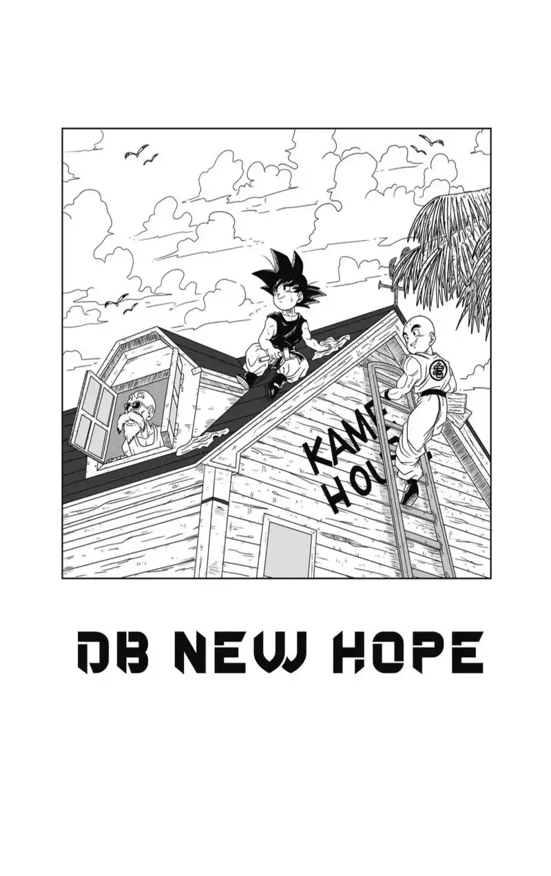 Dragon Ball: New Hope, chapter 3, page 5