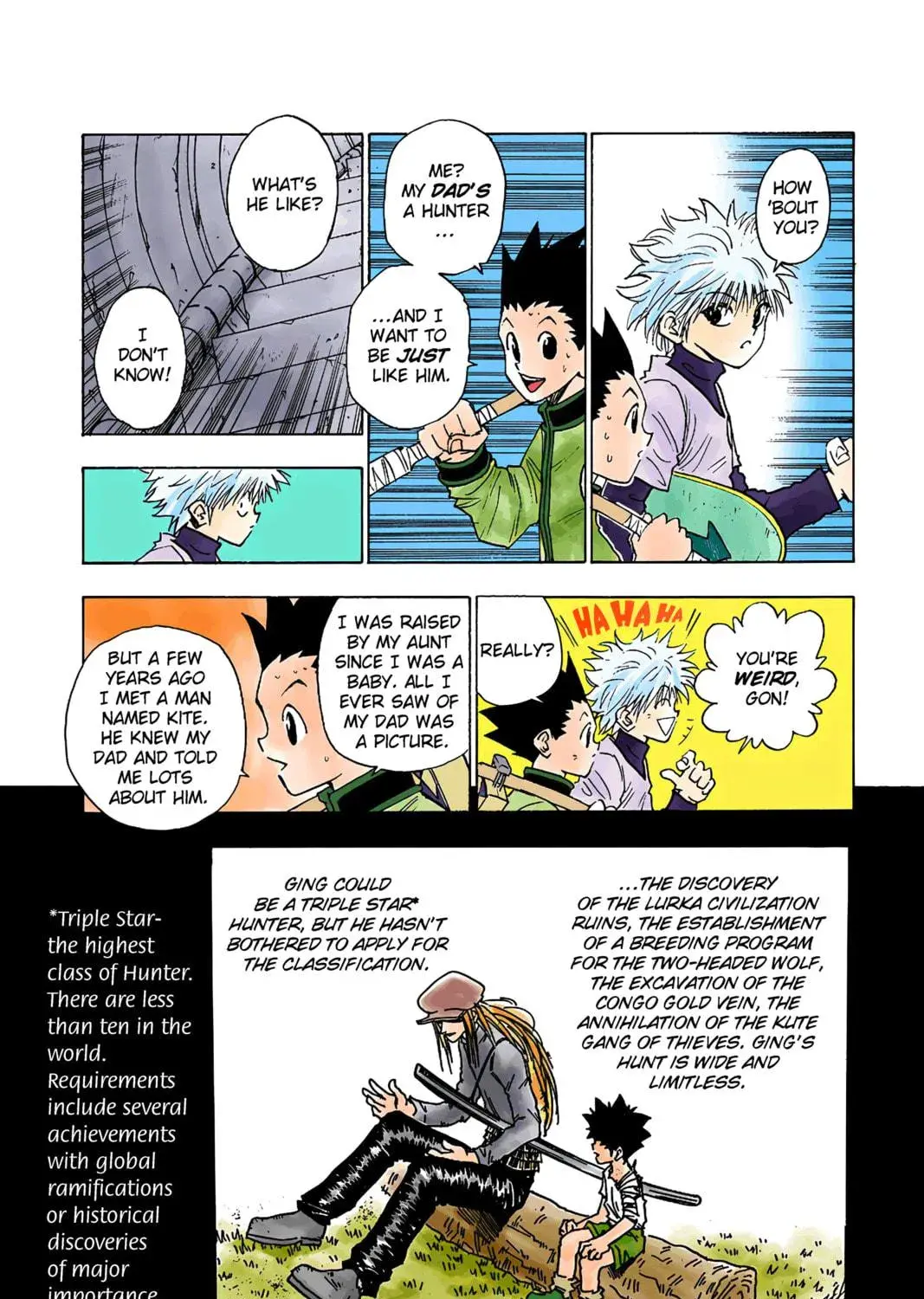 Hunter x Hunter Colored Manga, chapter 7, page 29