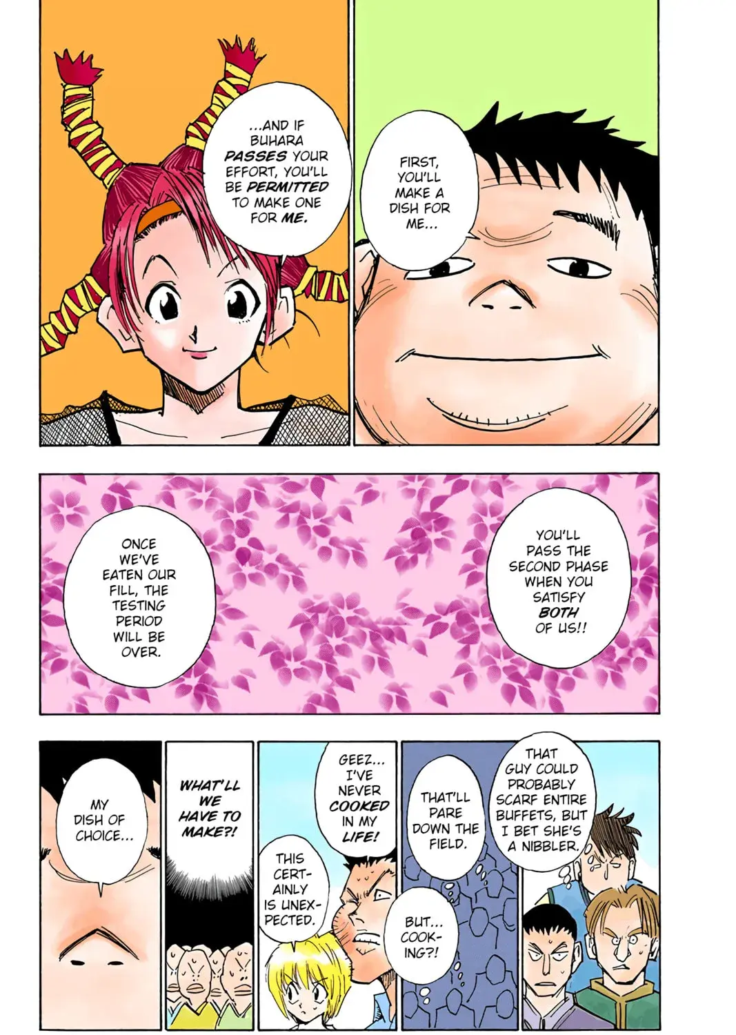 Hunter x Hunter Colored Manga, chapter 10, page 25