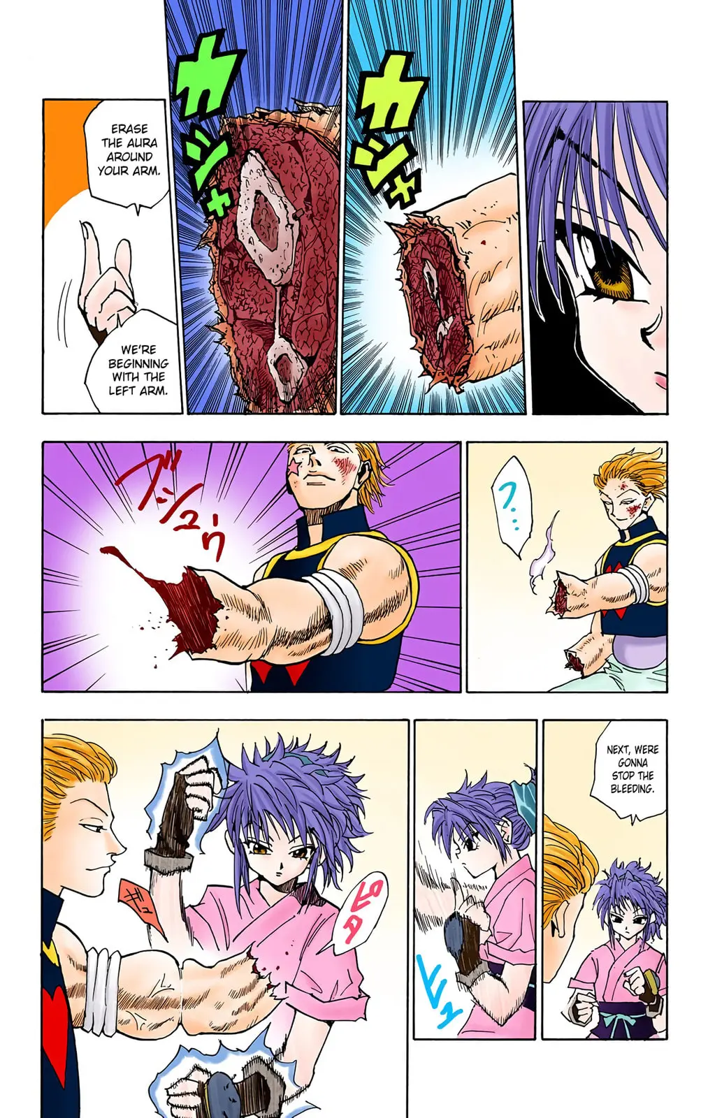 Hunter x Hunter Colored Manga, chapter 55, page 8