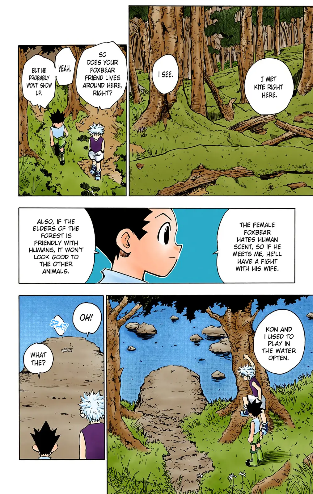 Hunter x Hunter Colored Manga, chapter 64, page 9