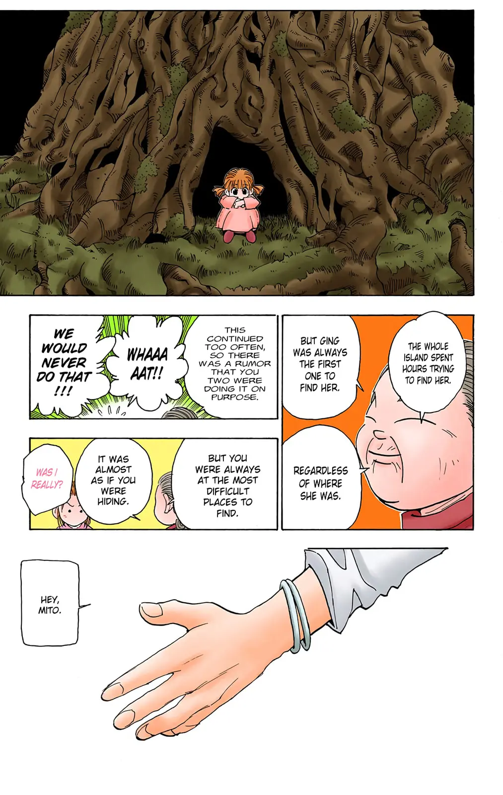 Hunter x Hunter Colored Manga, chapter 65, page 9