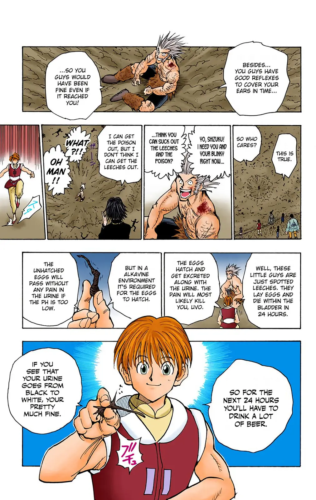 Hunter x Hunter Colored Manga, chapter 76, page 17