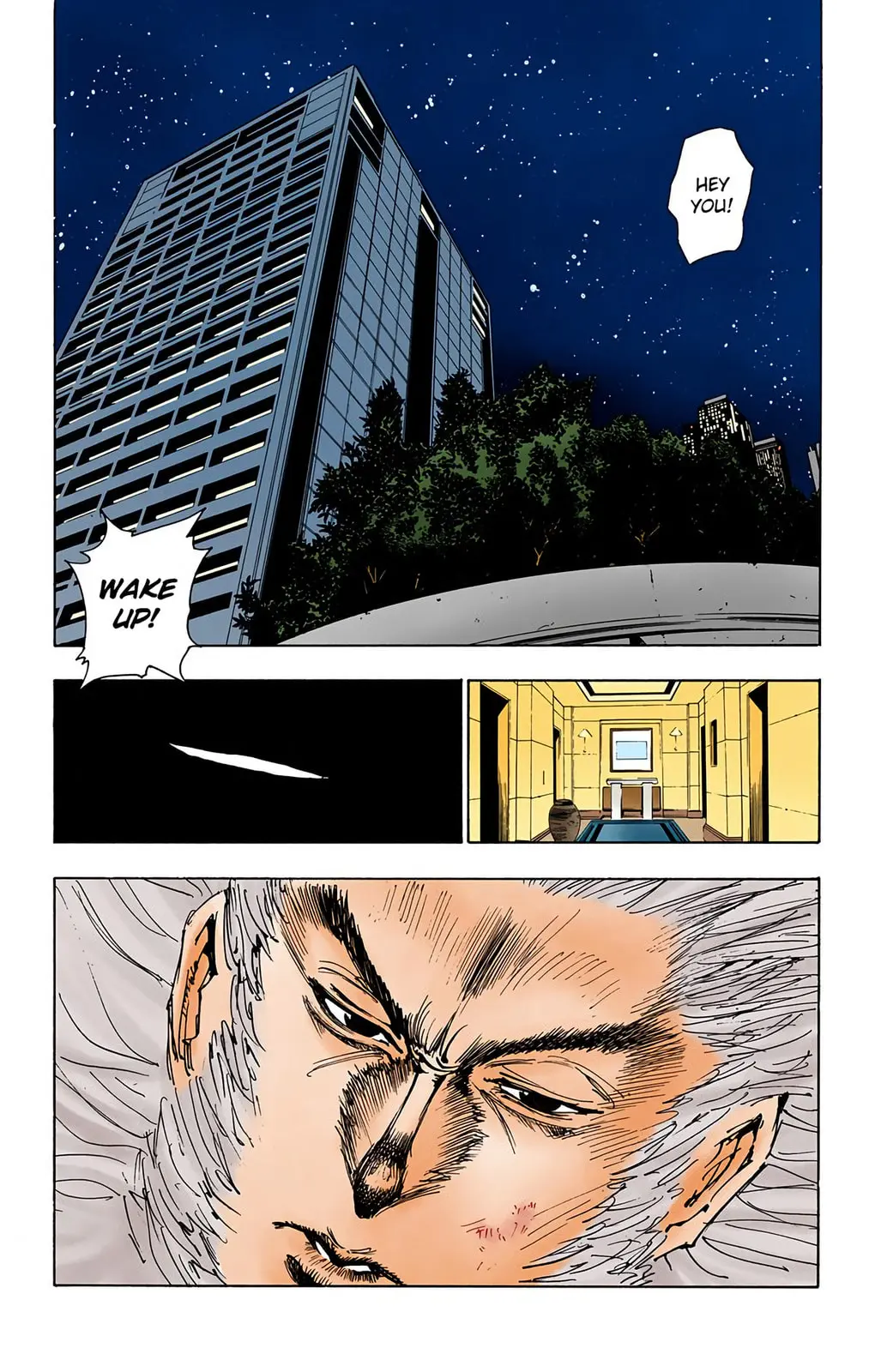 Hunter x Hunter Colored Manga, chapter 78, page 3