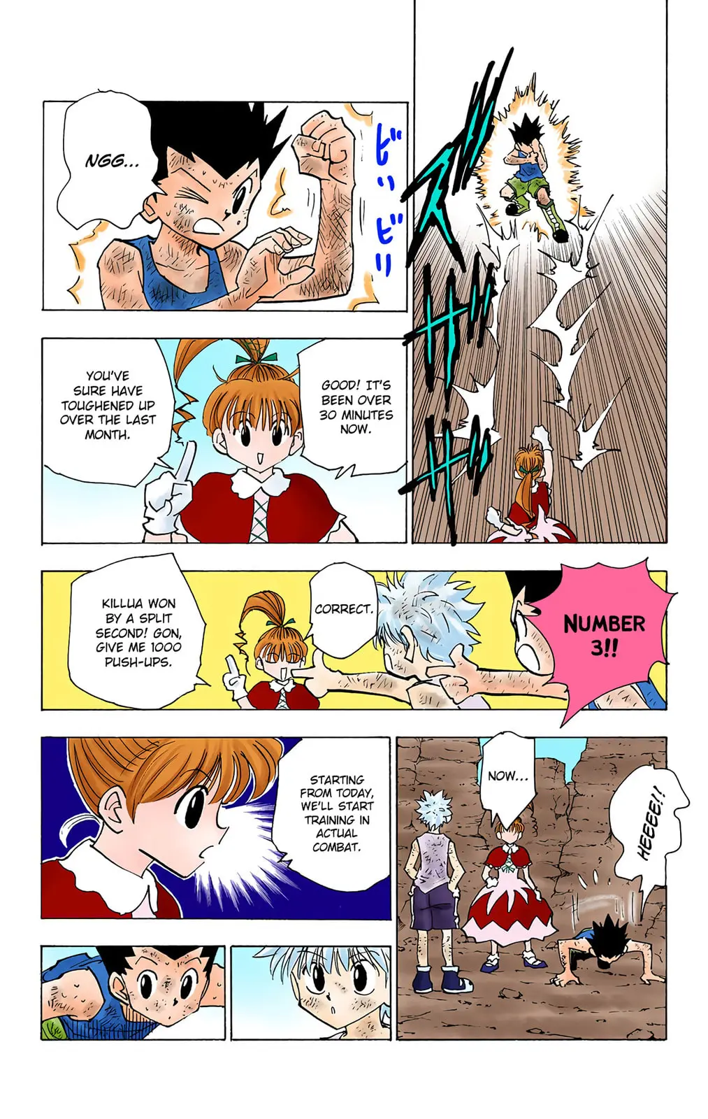 Hunter x Hunter Colored Manga, chapter 142, page 2