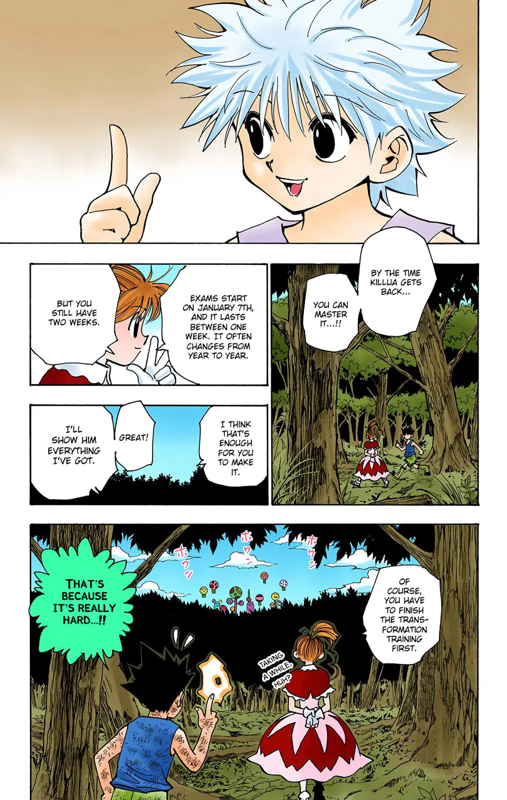 Hunter x Hunter Colored Manga, chapter 147, page 11