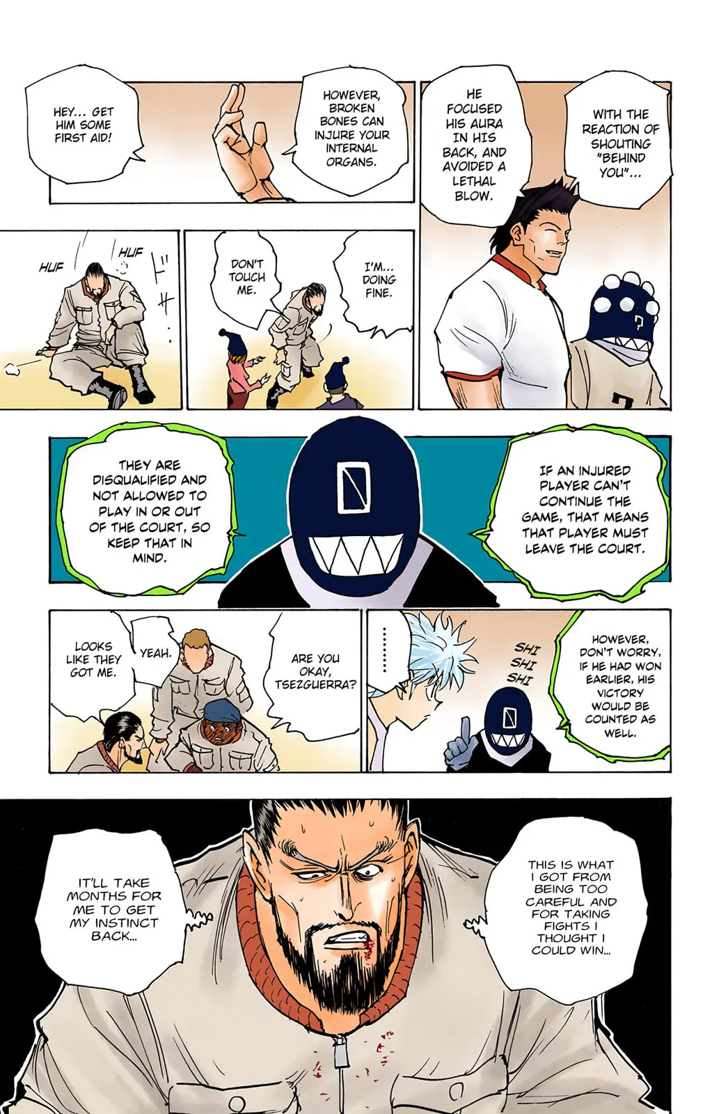 Hunter x Hunter Colored Manga, chapter 162, page 13