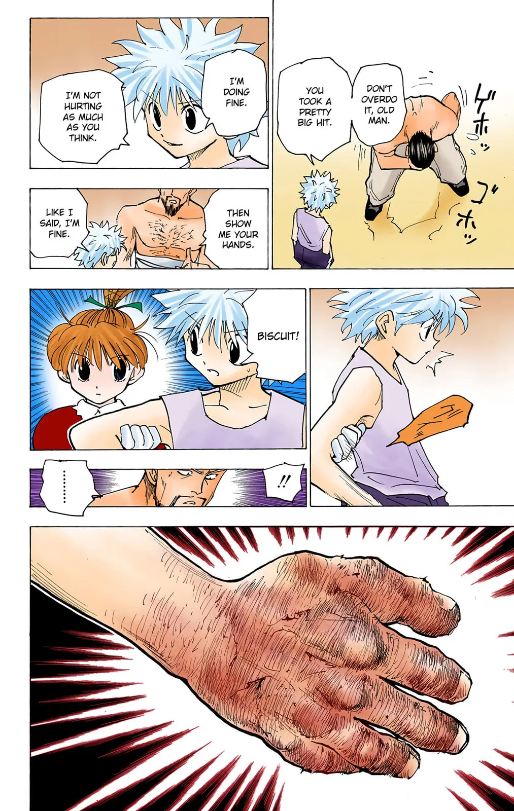 Hunter x Hunter Colored Manga, chapter 166, page 8