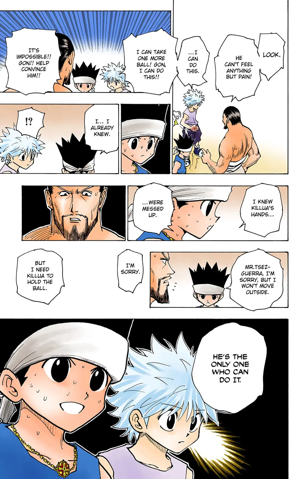Hunter x Hunter Colored Manga, chapter 166, page 9