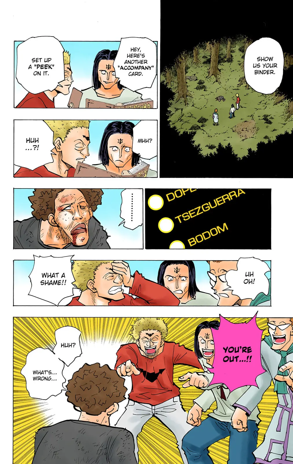Hunter x Hunter Colored Manga, chapter 172, page 4