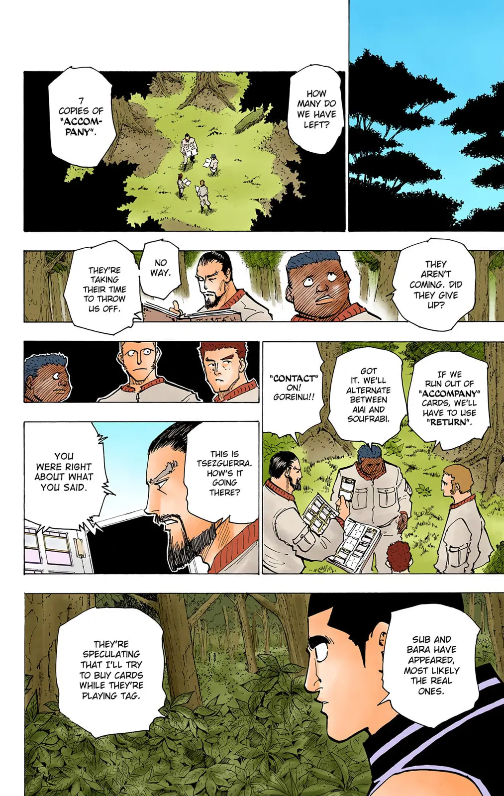 Hunter x Hunter Colored Manga, chapter 173, page 4