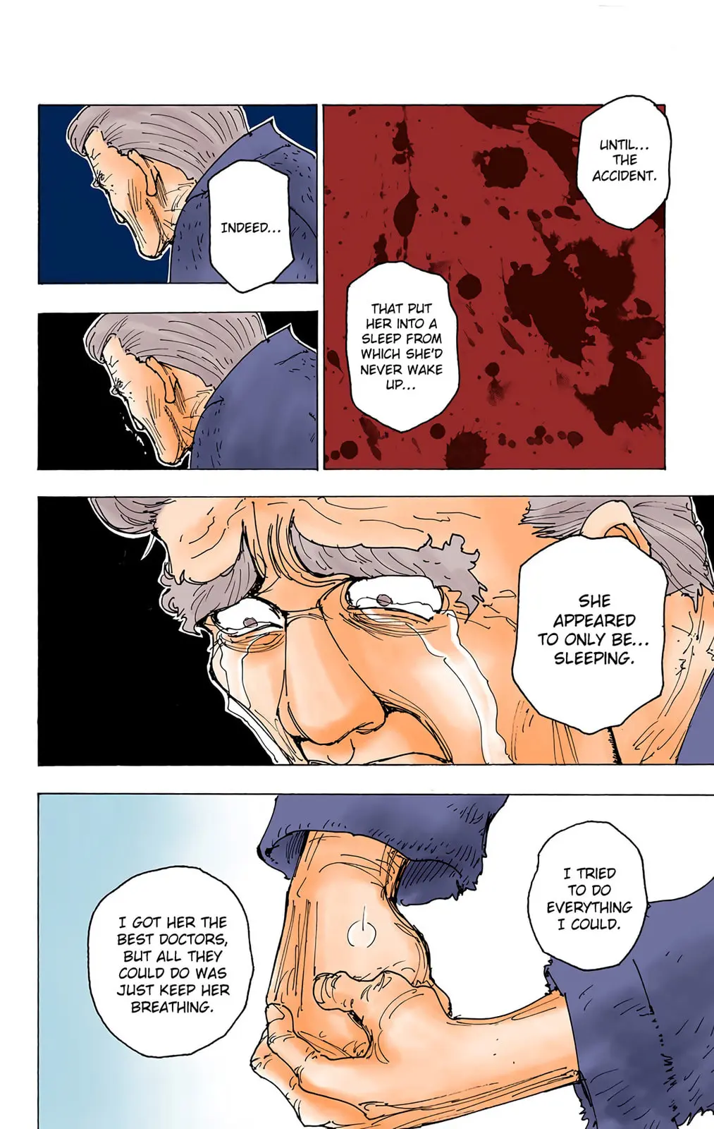 Hunter x Hunter Colored Manga, chapter 174, page 14
