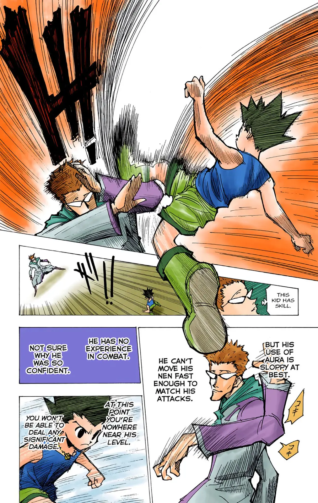 Hunter x Hunter Colored Manga, chapter 176, page 13