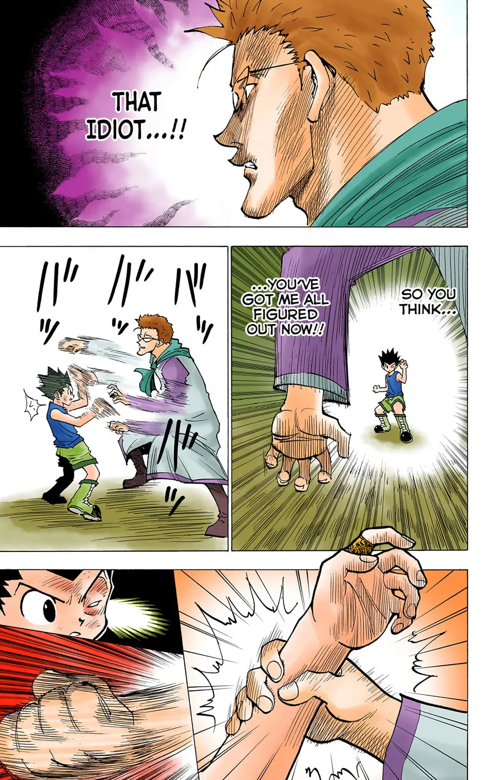 Hunter x Hunter Colored Manga, chapter 179, page 5