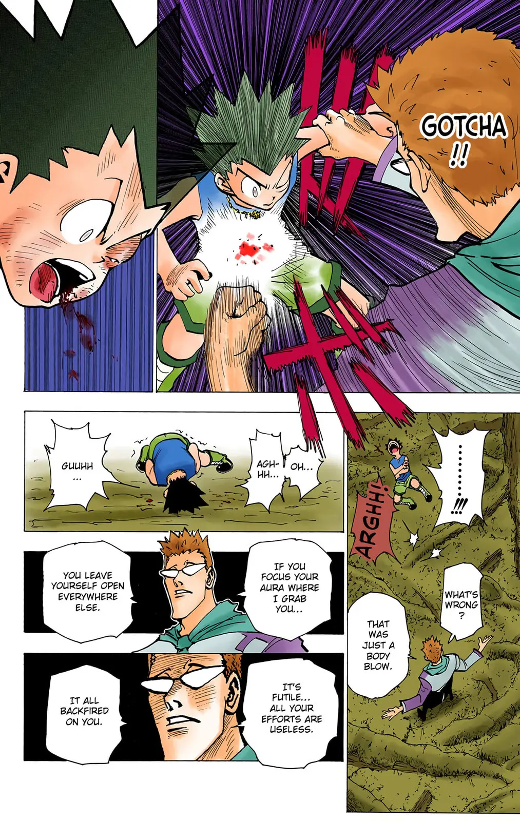 Hunter x Hunter Colored Manga, chapter 179, page 6