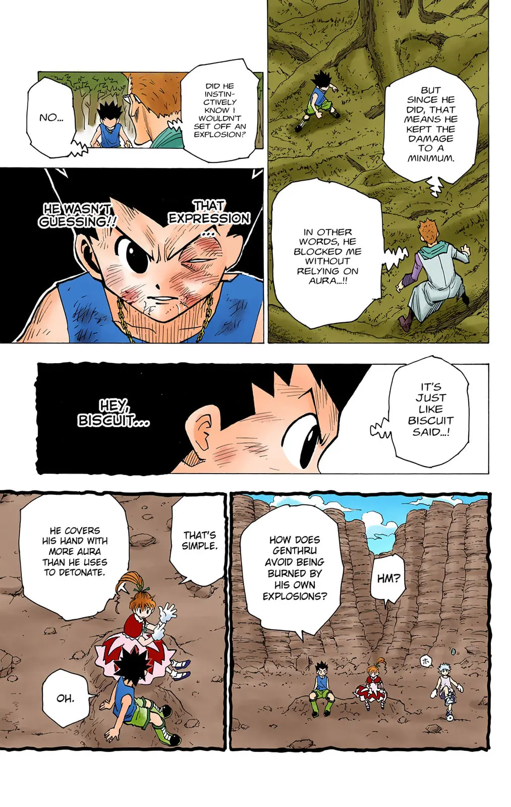 Hunter x Hunter Colored Manga, chapter 179, page 9