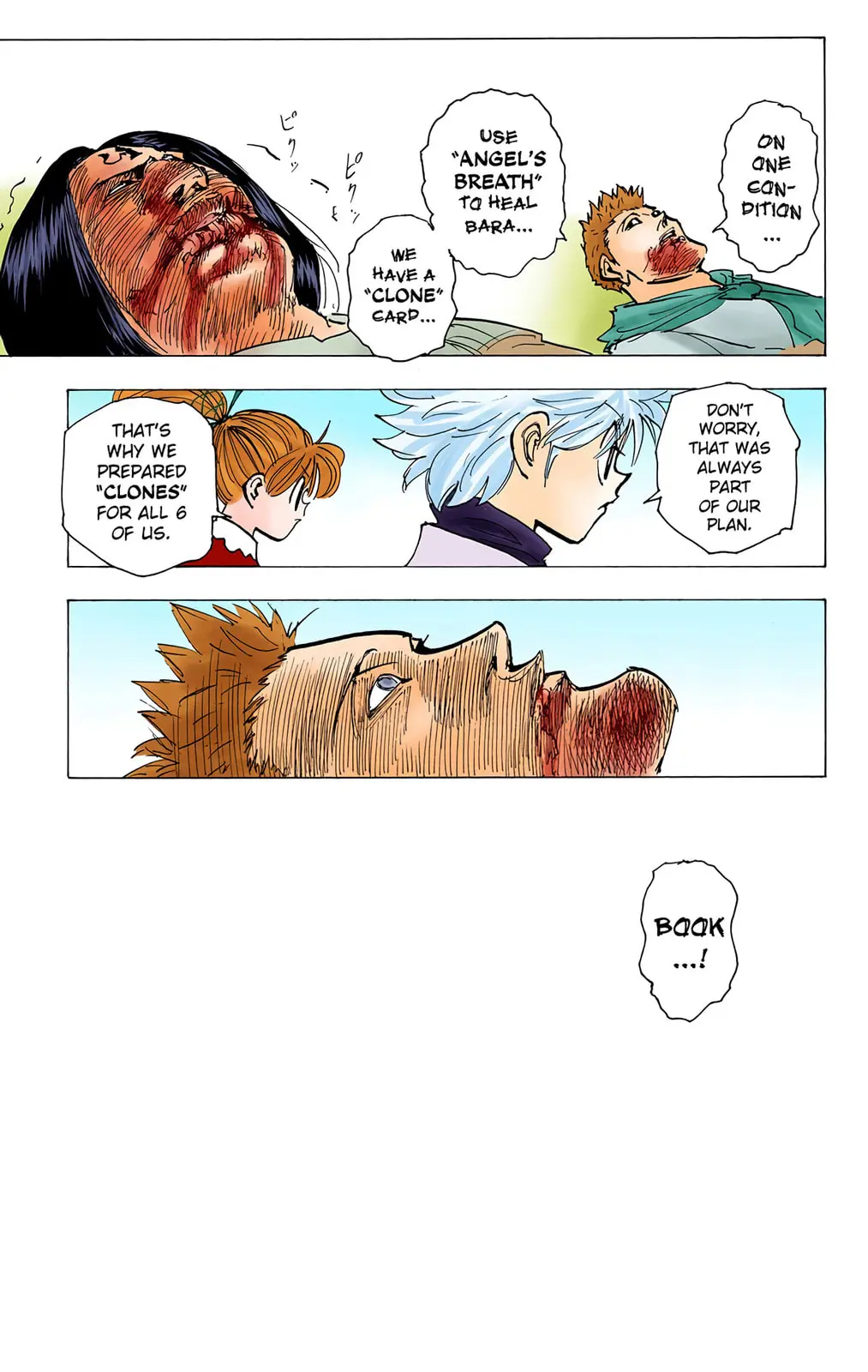 Hunter x Hunter Colored Manga, chapter 181, page 13