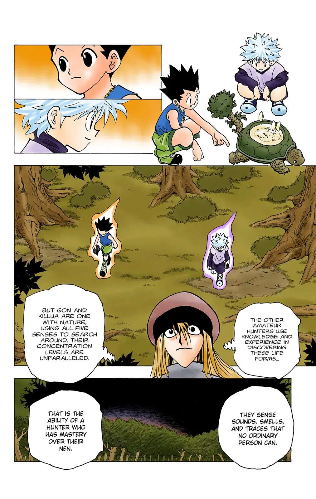 Hunter x Hunter Colored Manga, chapter 186, page 12