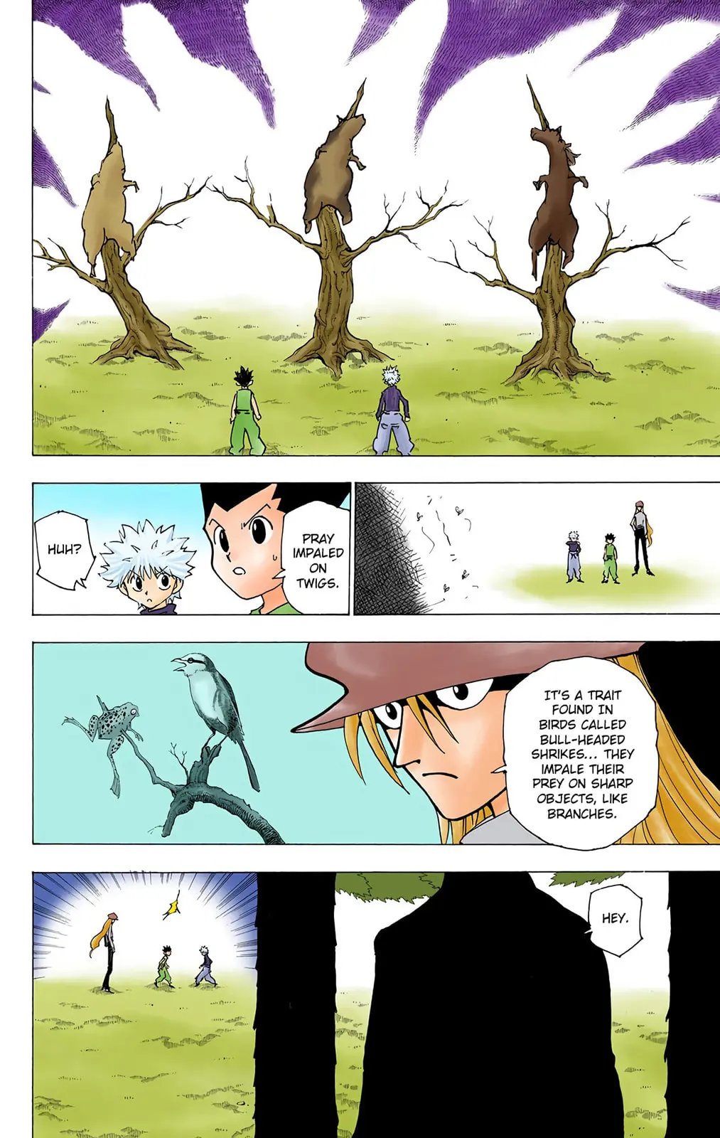 Hunter x Hunter Colored Manga, chapter 191, page 2
