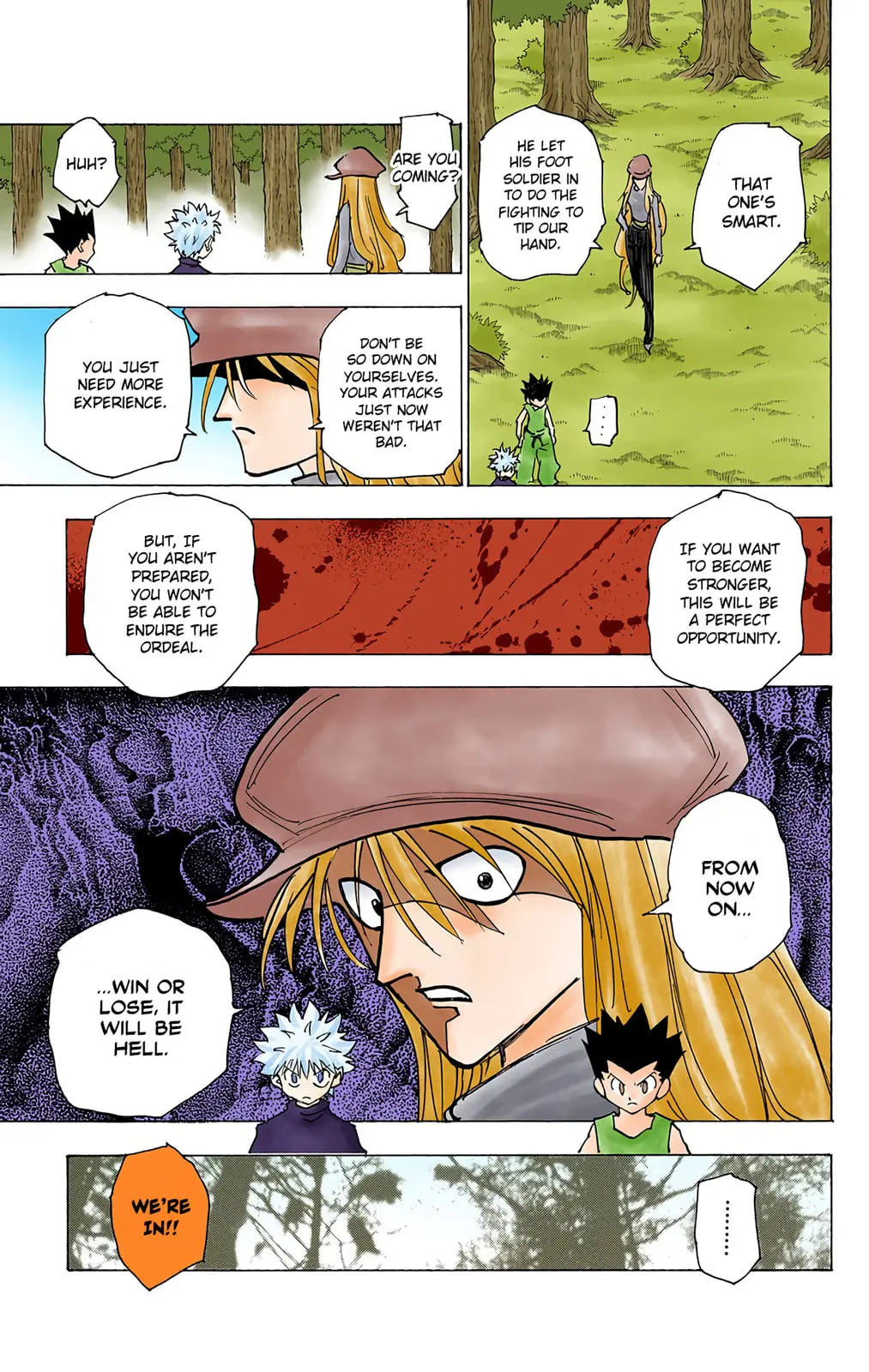 Hunter x Hunter Colored Manga, chapter 191, page 15