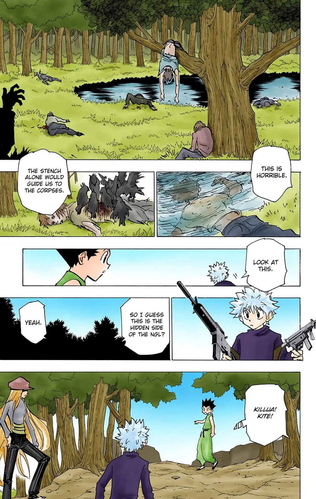 Hunter x Hunter Colored Manga, chapter 192, page 7