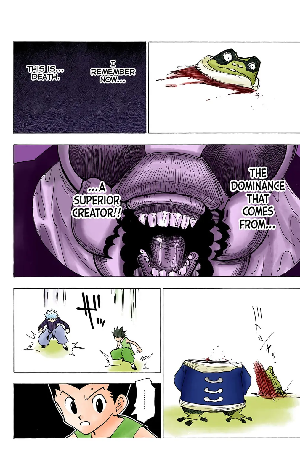 Hunter x Hunter Colored Manga, chapter 196, page 10