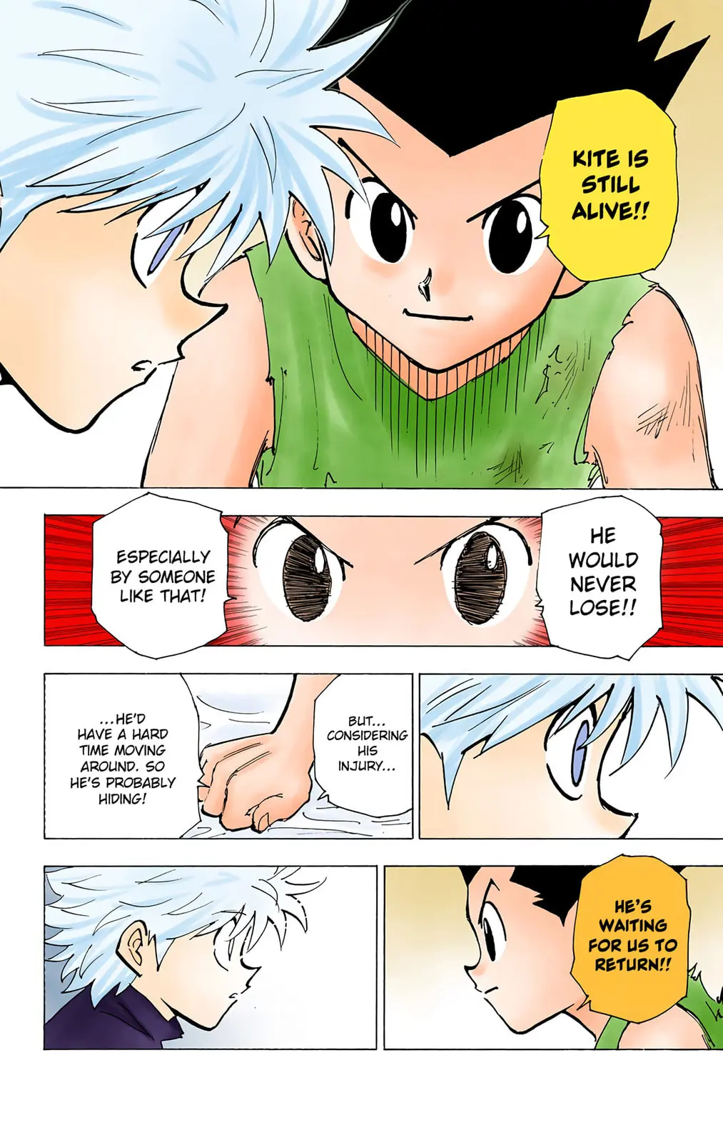 Hunter x Hunter Colored Manga, chapter 199, page 12