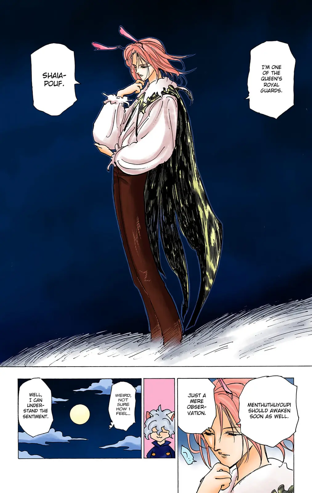 Hunter x Hunter Colored Manga, chapter 202, page 10