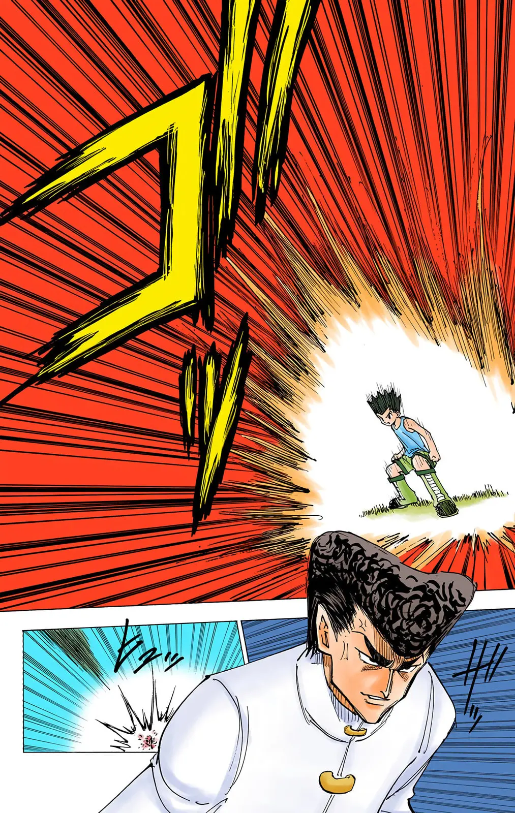 Hunter x Hunter Colored Manga, chapter 206, page 7