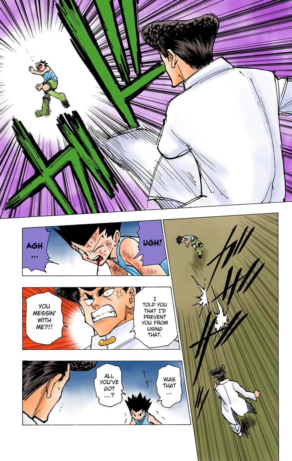 Hunter x Hunter Colored Manga, chapter 207, page 13