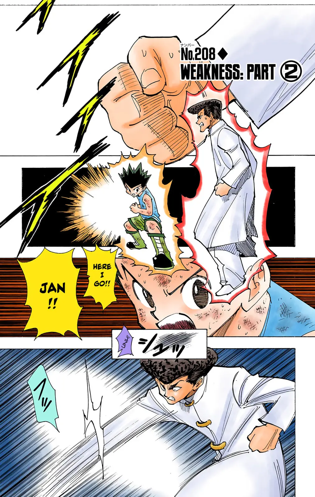 Hunter x Hunter Colored Manga, chapter 208, page 1