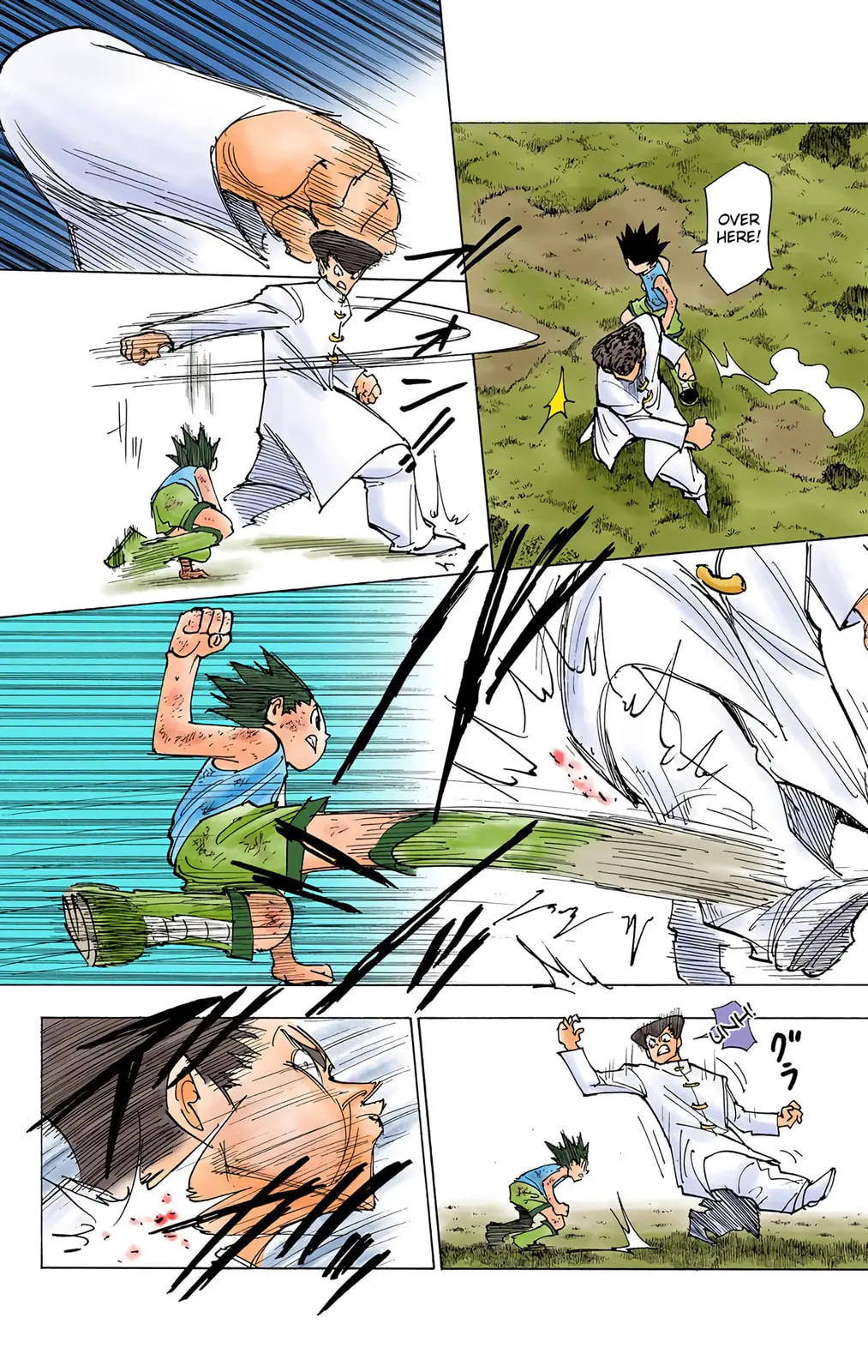 Hunter x Hunter Colored Manga, chapter 208, page 2