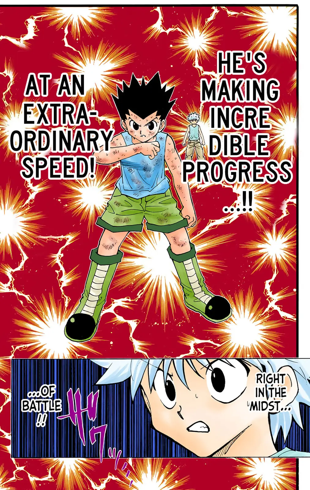 Hunter x Hunter Colored Manga, chapter 208, page 8