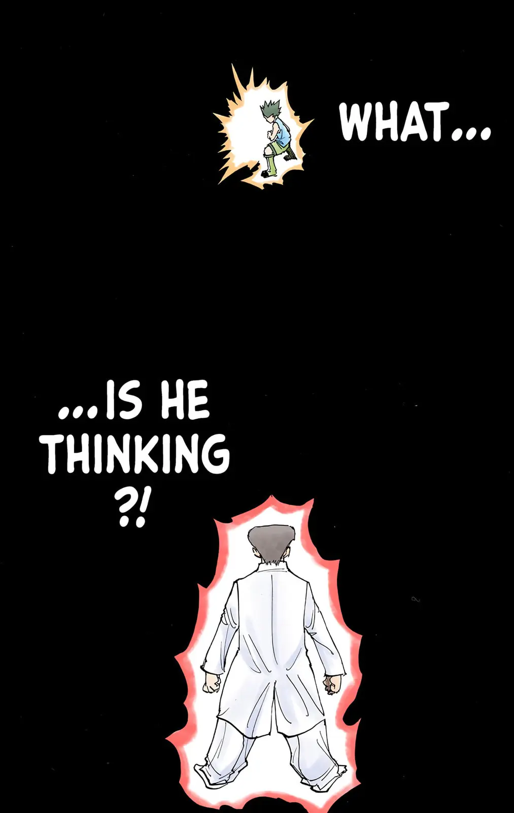 Hunter x Hunter Colored Manga, chapter 208, page 15