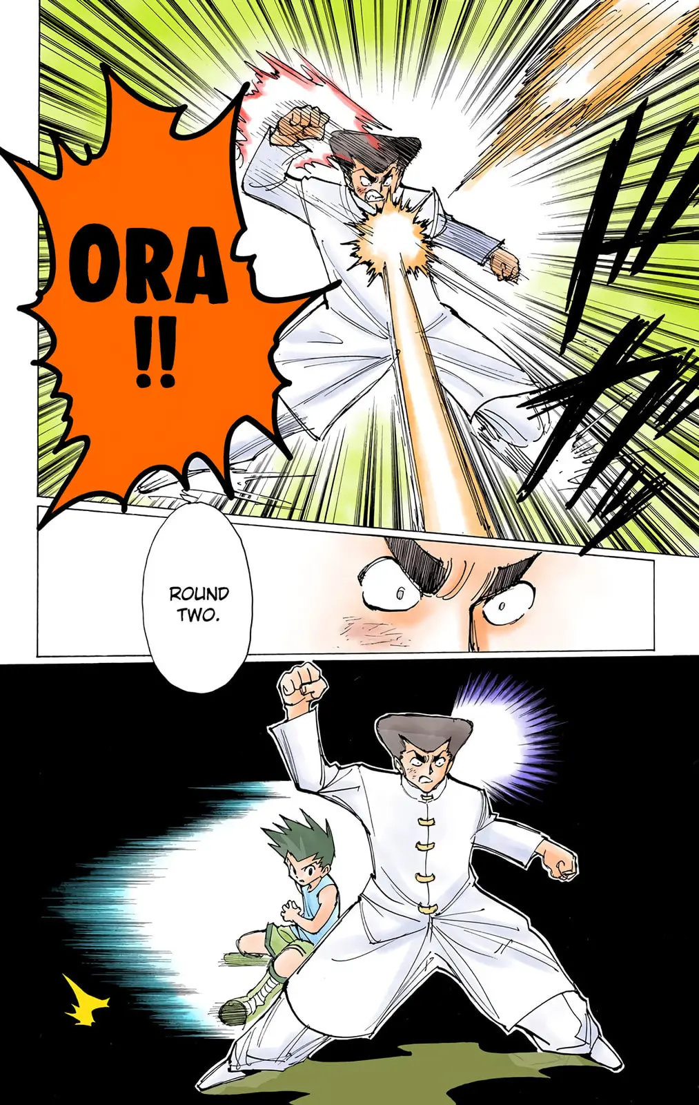 Hunter x Hunter Colored Manga, chapter 209, page 6