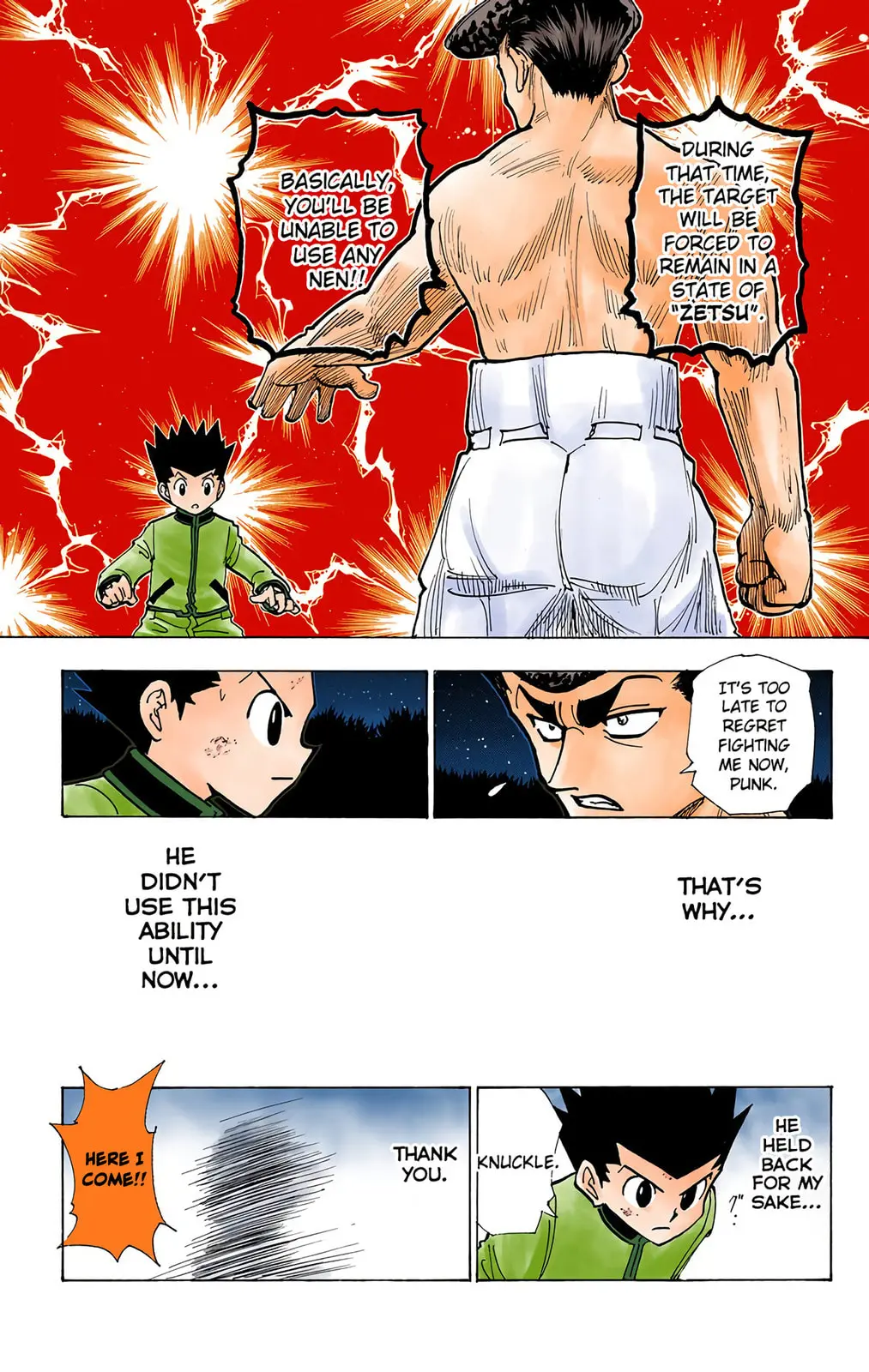 Hunter x Hunter Colored Manga, chapter 211, page 9