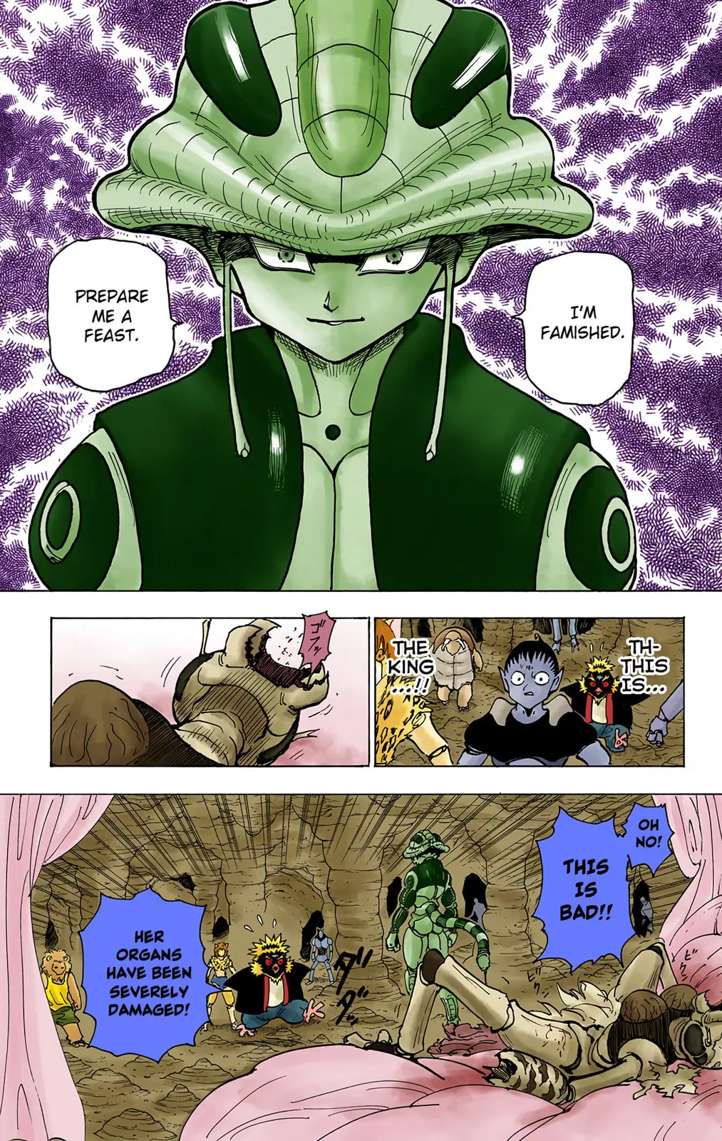 Hunter x Hunter Colored Manga, chapter 213, page 3