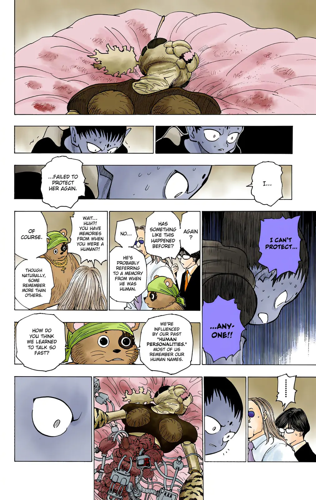 Hunter x Hunter Colored Manga, chapter 215, page 10