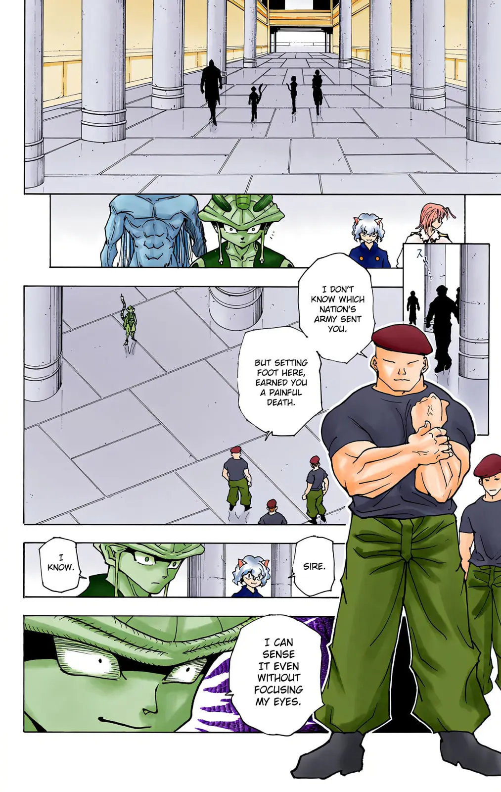 Hunter x Hunter Colored Manga, chapter 216, page 14