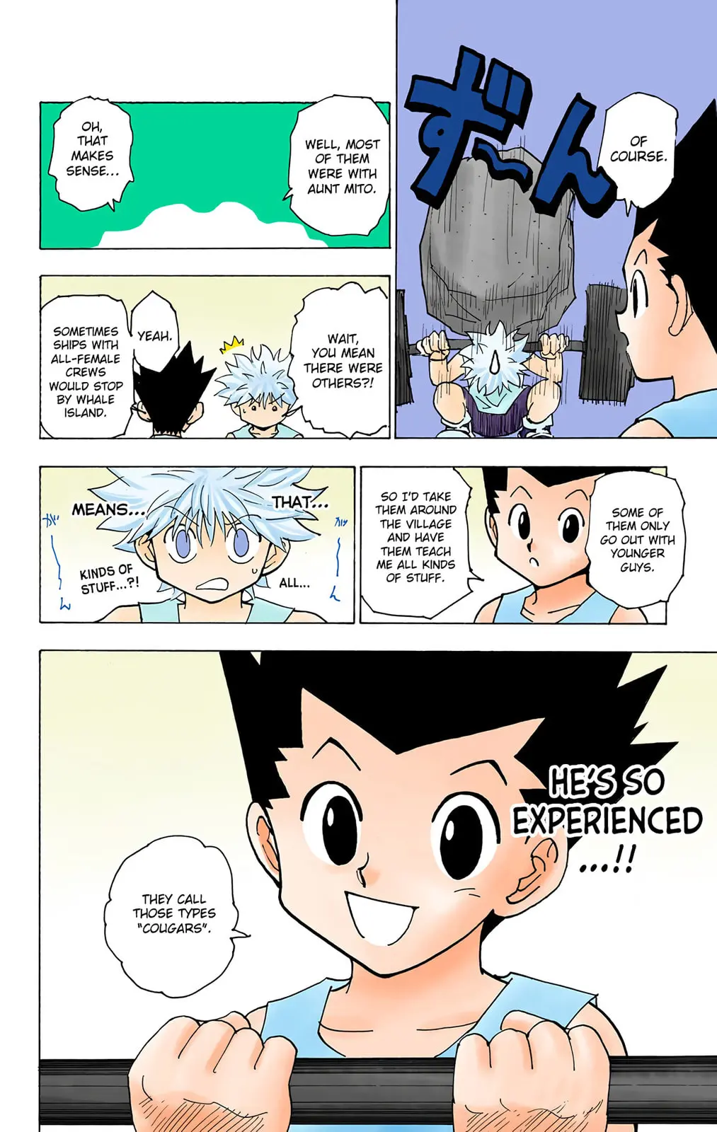 Hunter x Hunter Colored Manga, chapter 217, page 12