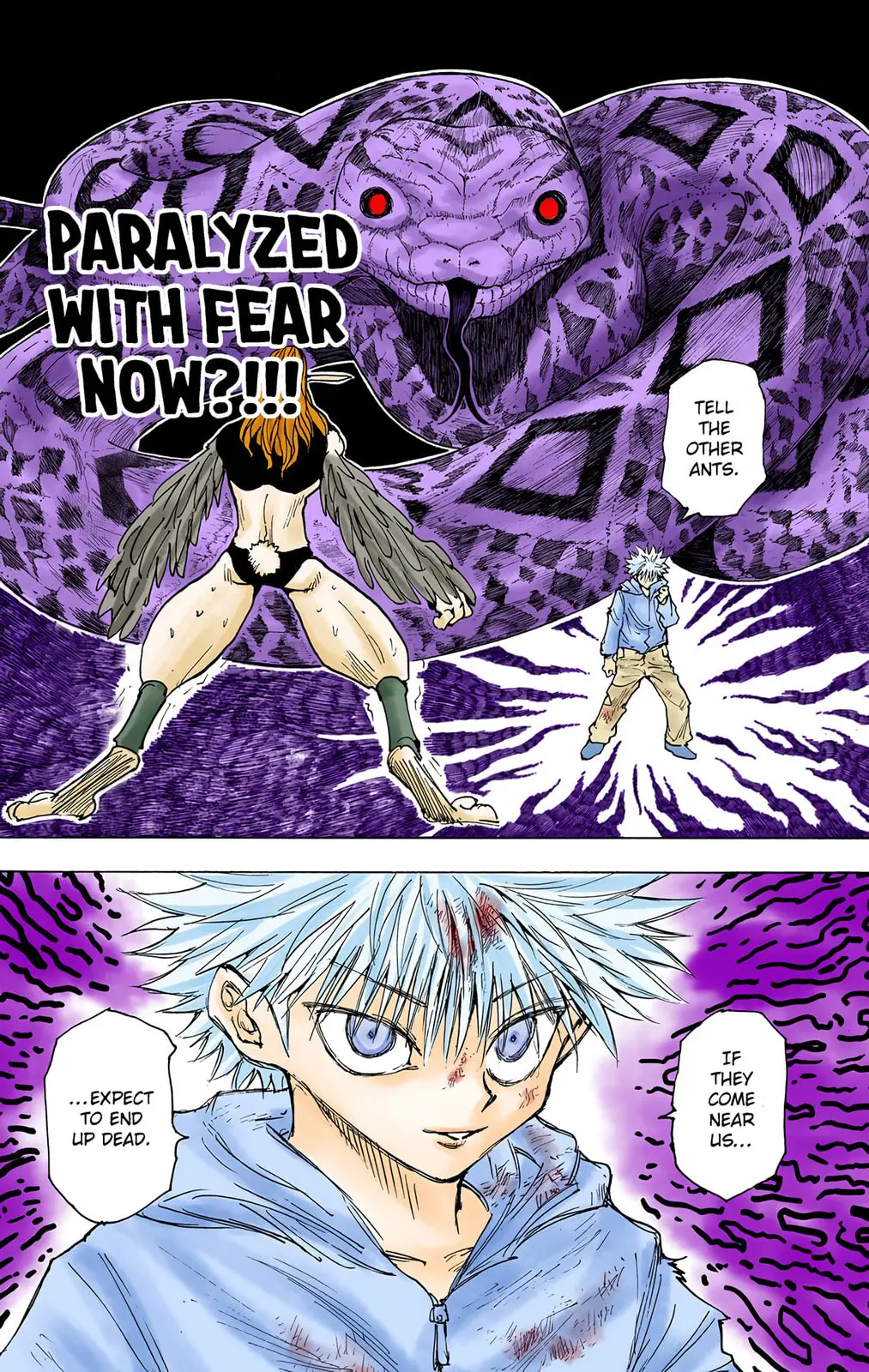 Hunter x Hunter Colored Manga, chapter 219, page 13