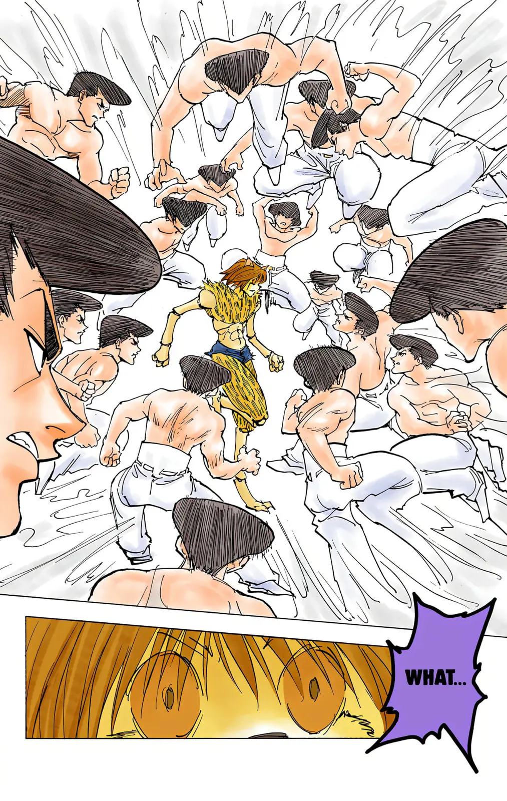 Hunter x Hunter Colored Manga, chapter 221, page 8