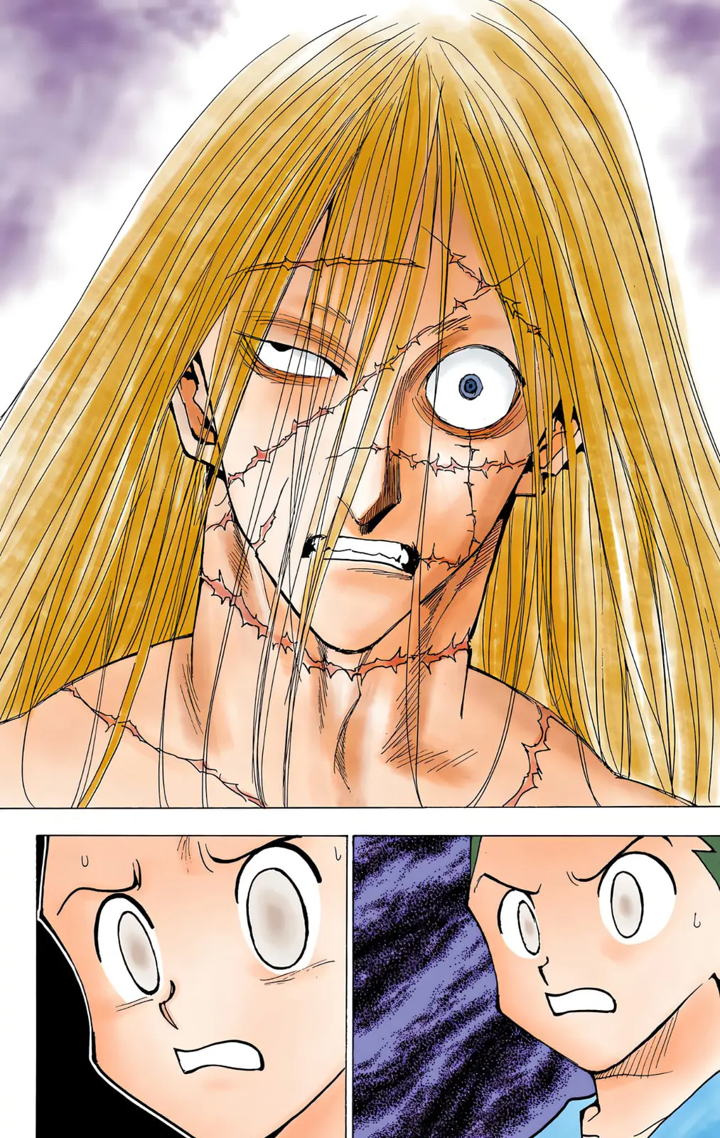 Hunter x Hunter Colored Manga, chapter 222, page 4
